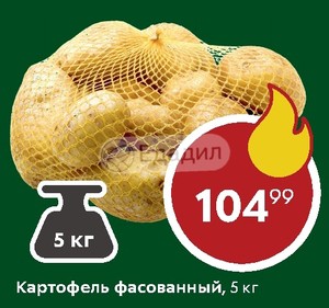 В Магазине Картофель Расфасовали В 24