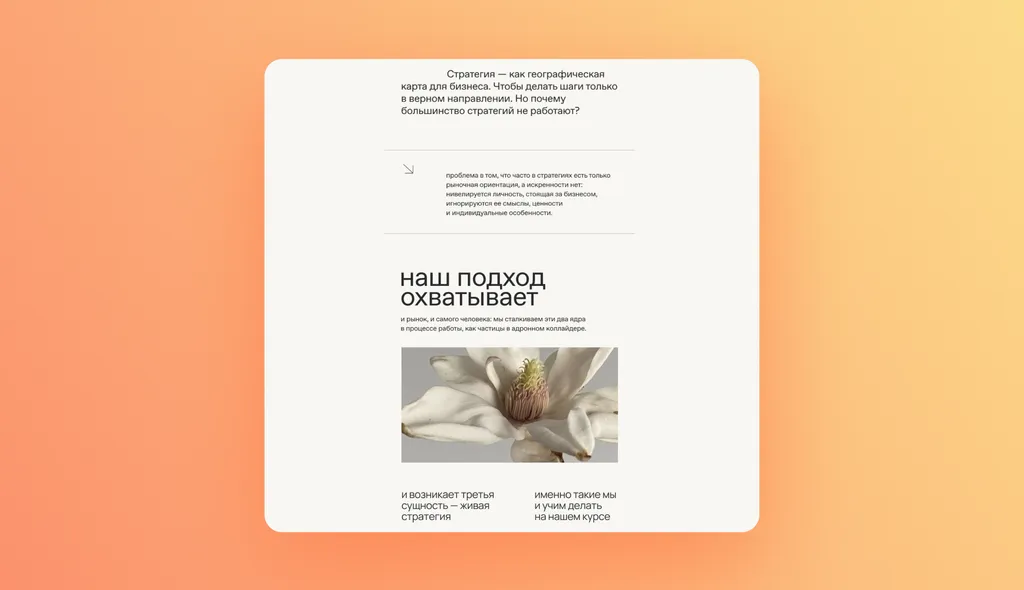 Гайд по email-рассылкам: виды, цели, способы повысить эффективность