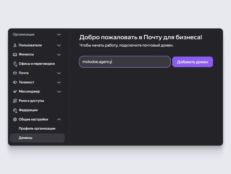 Напишите домен без префиксов. Например, не https://molodoe.agency, а просто molodoe.agency
