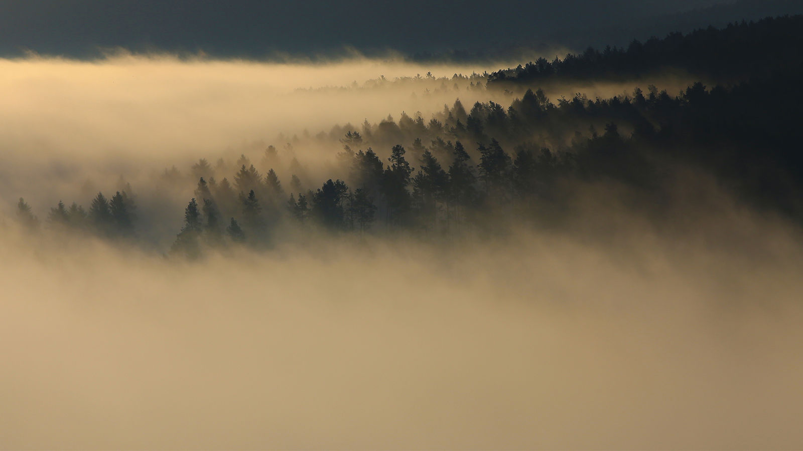 Холмы туман атмосфера
