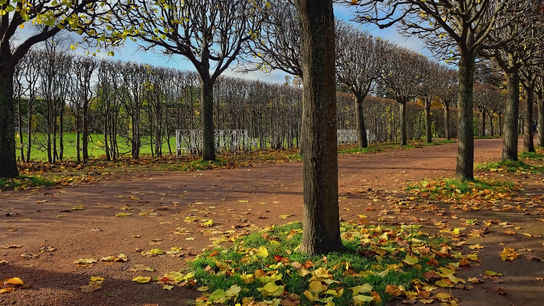 Парки России