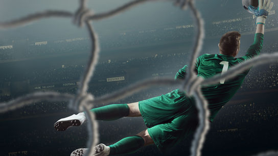 Поле, мяч, команда