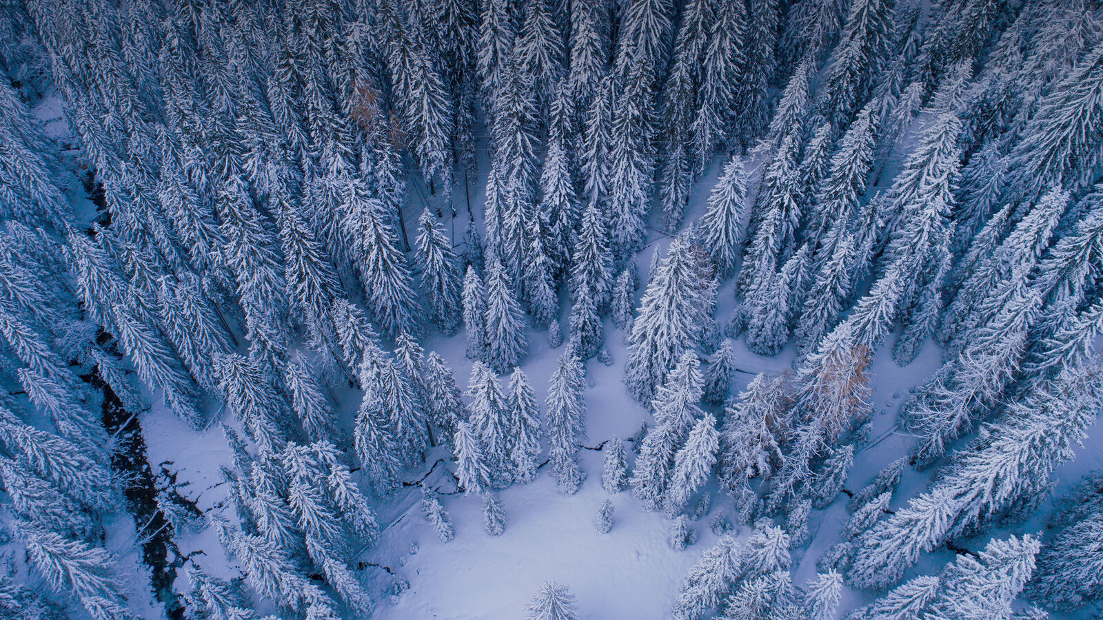 Фон для Яндекс браузера зима