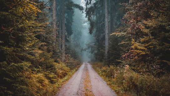 Туманные пейзажи