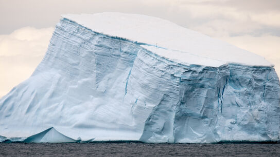 Арктика и Антарктика
