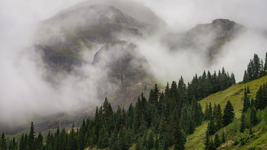 Туманные пейзажи