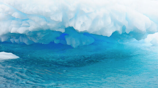 Арктика и Антарктика