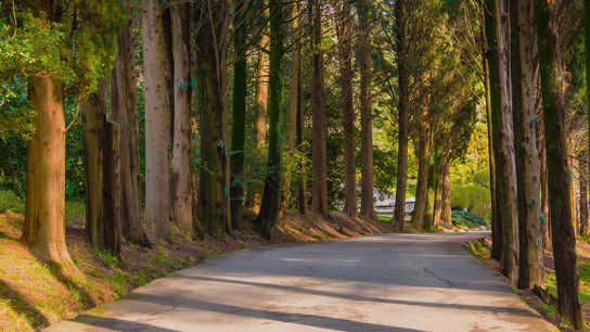 Парки России