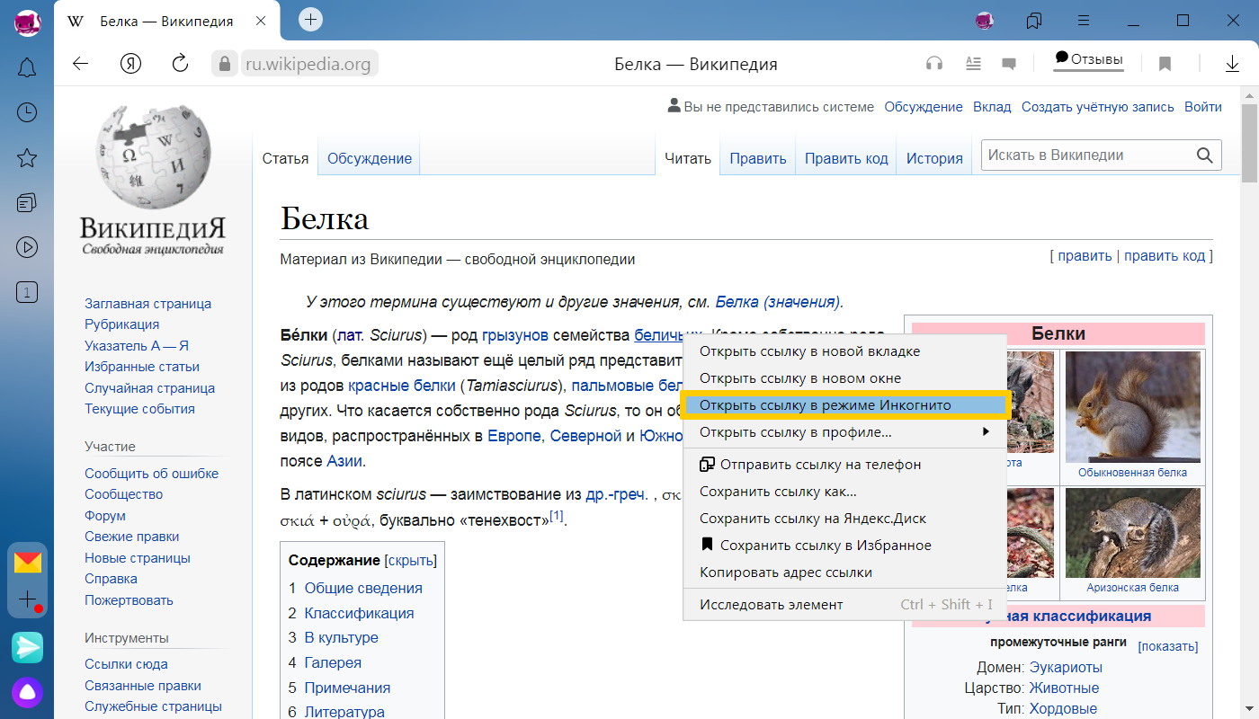 Быстрый браузер с алисой режим инкогнито погода прямо в браузере яндекс браузер с блокировкой