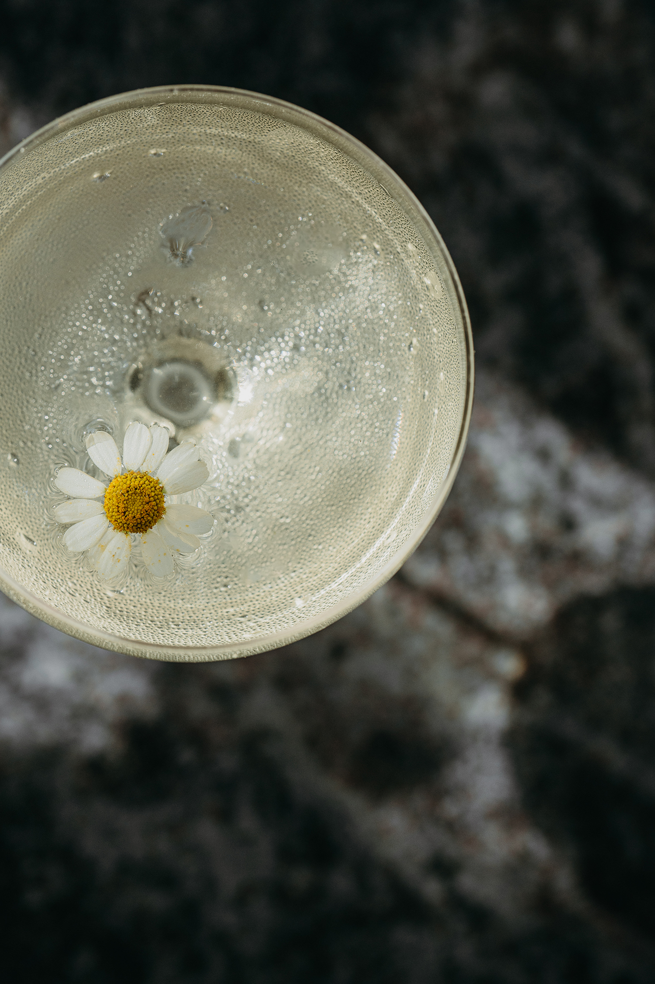 Sunflower Martini