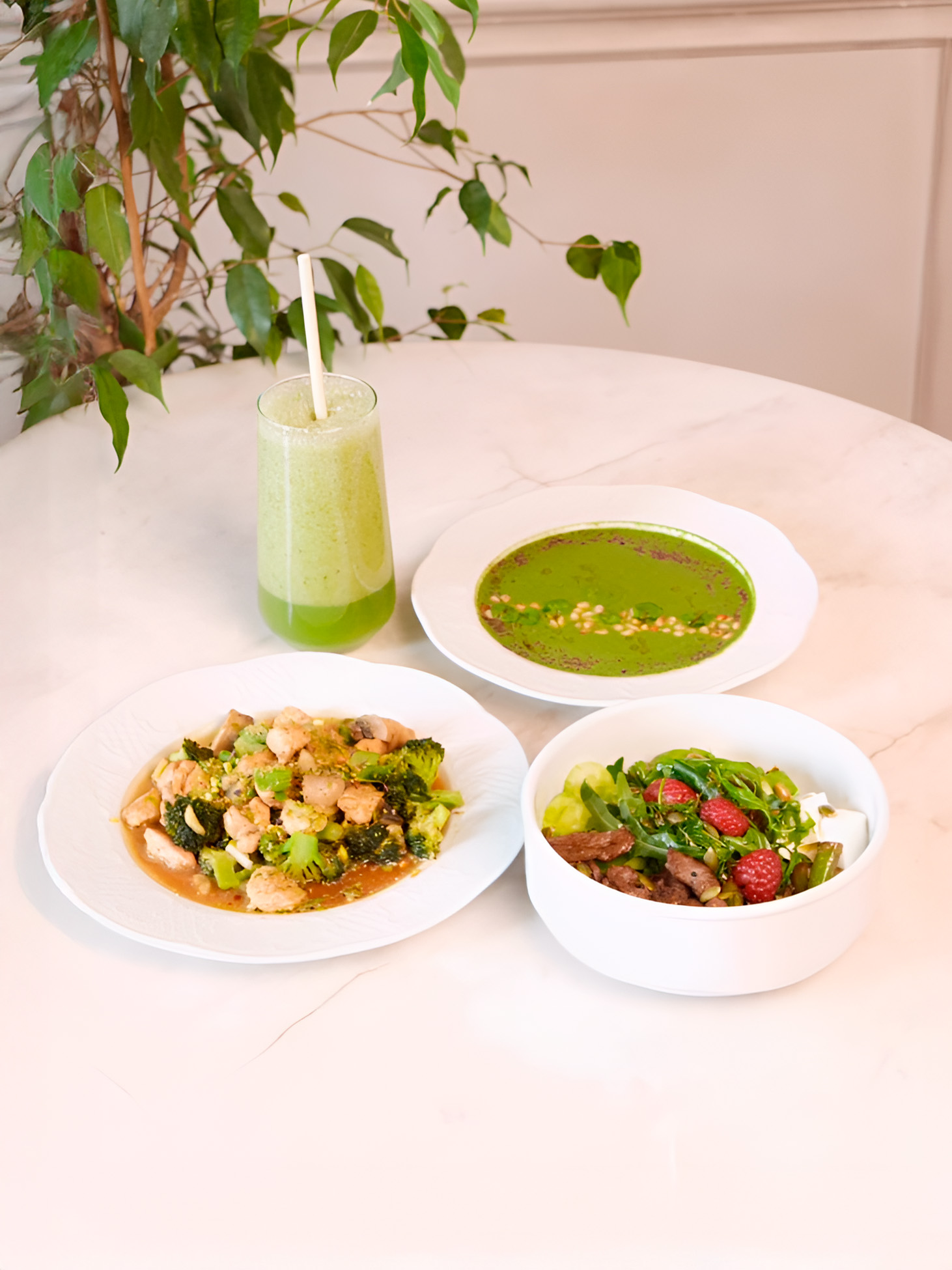 Horse meat ketoboul, broccoli chicken, green cream soup