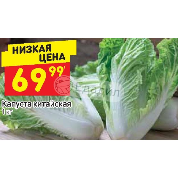Дикси капуста. Акции на капусту. Магазин Дикси капуста123. Пекинская капуста Дикси.