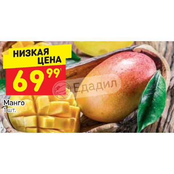 Магазины Манго В Спб Адреса
