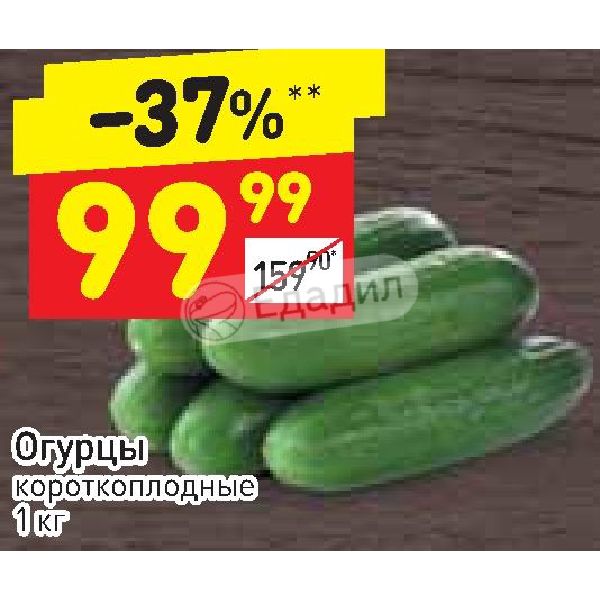 Дикси огурцы. Огурцы короткоплодные на акции. Огурцы в Дикси. Огурцы Global Village короткоплодные. Короткоплодные огурцы размер