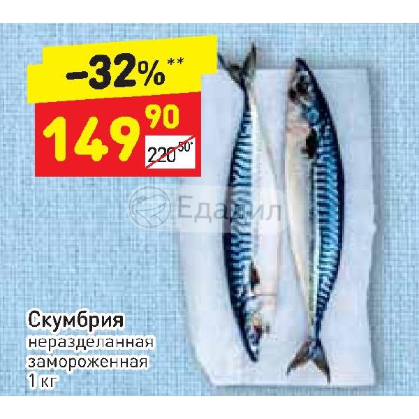 Купить Скумбрию Свежемороженую В Спб Розницу