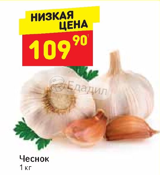 Чеснок каталог товаров спб. Чеснок Дикси. Магазин чеснок Таганрог. Чеснок магазин Смоленск. Чеснок Смоленск акции.