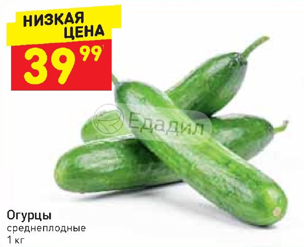 Дикси огурцы. Огурцы в Дикси. Дикси корнишоны. Огурцы соленые в Дикси