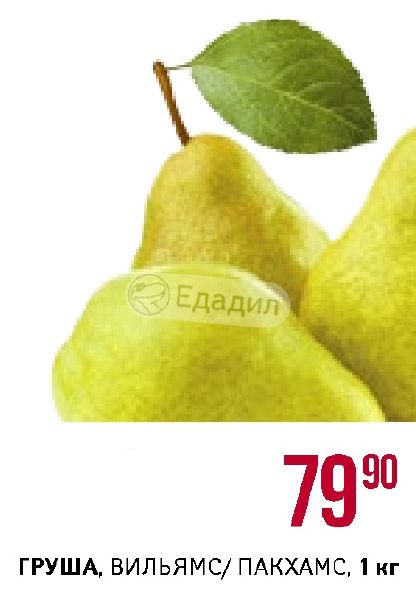 Груши вильямс пакхамс фото. Груша вильямс калорийность. Вес груши вильямс 1 шт. Груша вильямс калорийность. Груша вильямс калорийность.