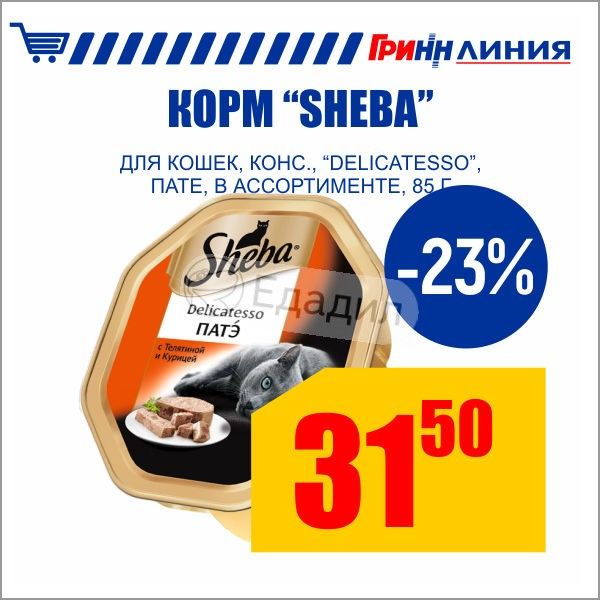 Афиша кинотеатра. Bona товарный знак. Разработка этикетки. Киностудия братьев пате. Зоогурман паштет для собак.