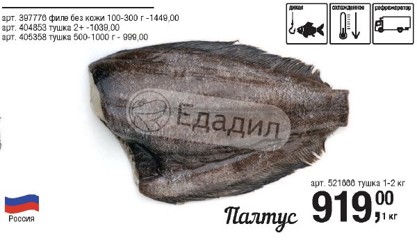 рыба на белом фоне. палтус второе название. дорадо рыба розовая. рыба парнас. рыба парнас.