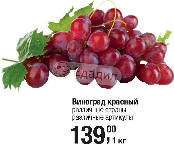 Сколько калорий в винограде. Виноград красный калорийность. Красный виноград витамины. Калории виноград Red. Большой виноград красный калорийность.