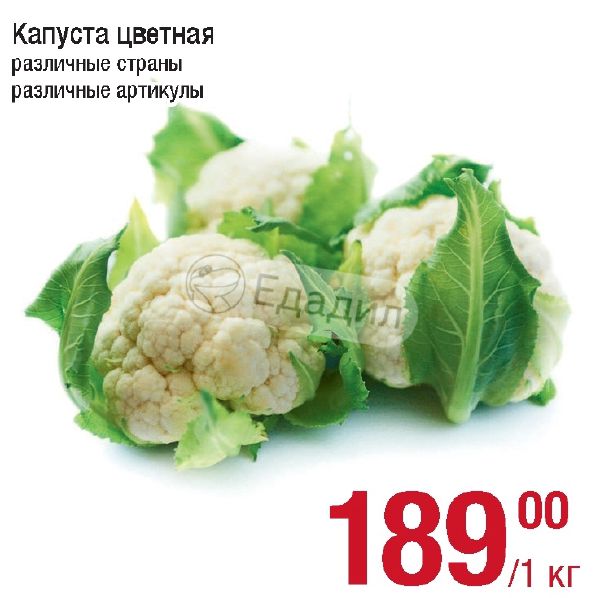 Дикси капуста. Акции на капусту. Жареная цветная капуста калории. Цветная капуста калорийность вареная.