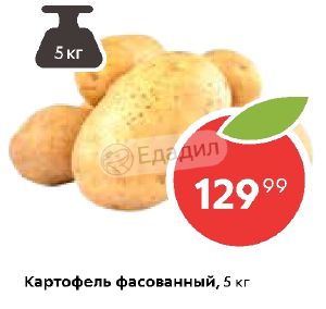 В Магазине Картофель Расфасовали В 24