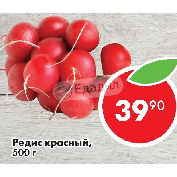 Топ Семена Интернет Магазин Нефтекамск
