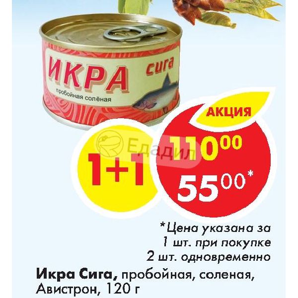 Икра Сига Купить