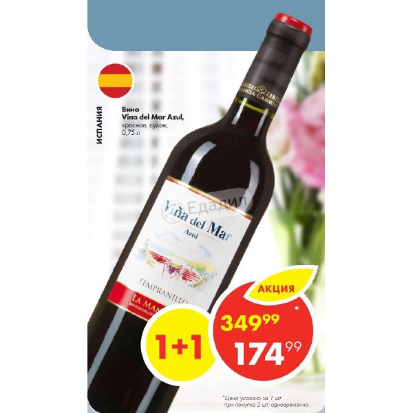 25. Бальена асуль вино. Вино icono. Вино vina del. Бушон карменер сира.