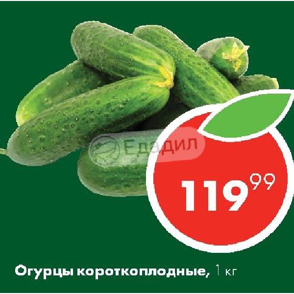 Топ Семена Интернет Магазин Нефтекамск