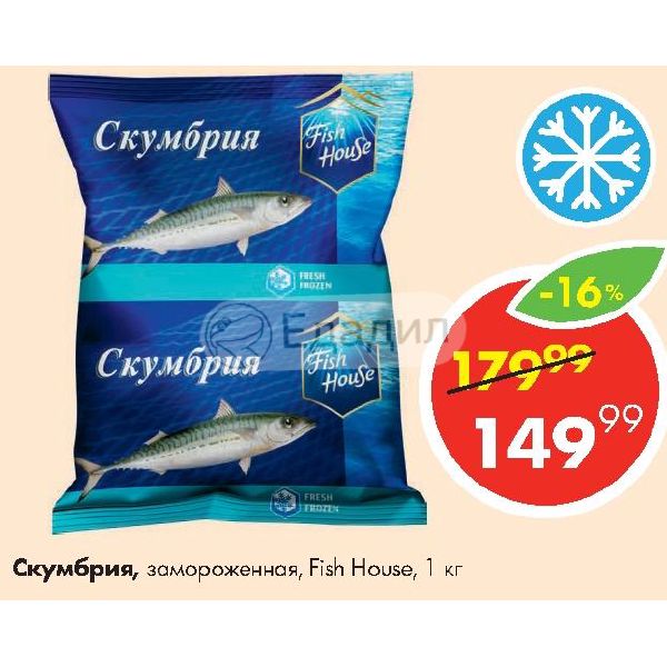 Купить Скумбрию Свежемороженую В Спб Розницу