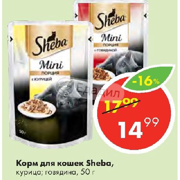 Шеба Акции В Магазинах