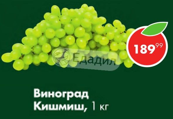 Кишмиш алиса в стране. Калорийность винограда кишмиш. Калорийность винограда кишмиш зеленого. Белый кишмиш пищевая ценность. Виноград в Тюмени.