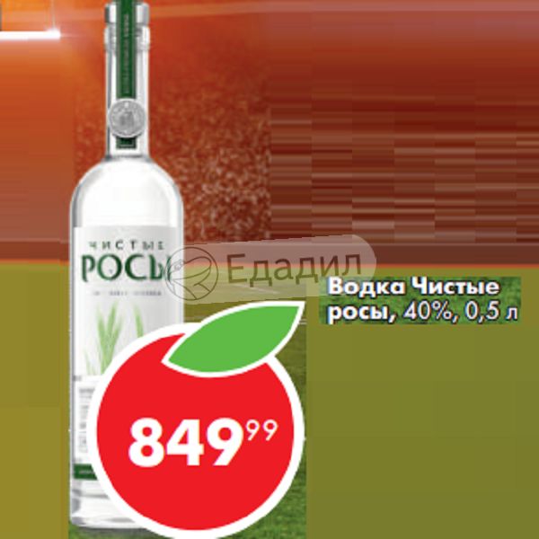 Чистая росса