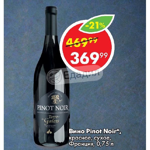 Pinot Noir Вино Купить