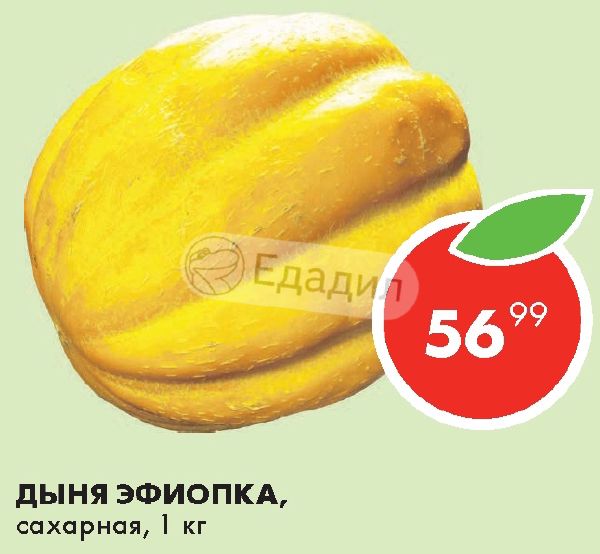 Схема посадки дыни эфиопка