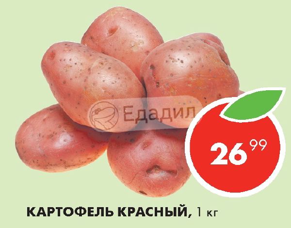 Фортуна Интернет Магазин Старая Кулатка