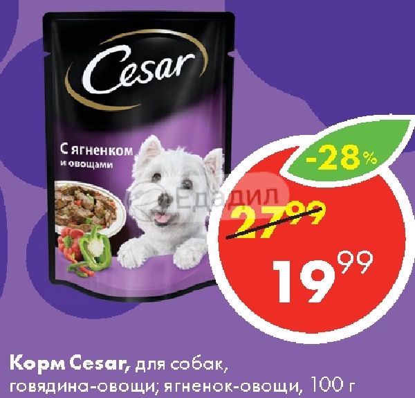Корм для собак говядина с овощами. Корм для собак Cesar ягненок-овощи пауч 85 гр.