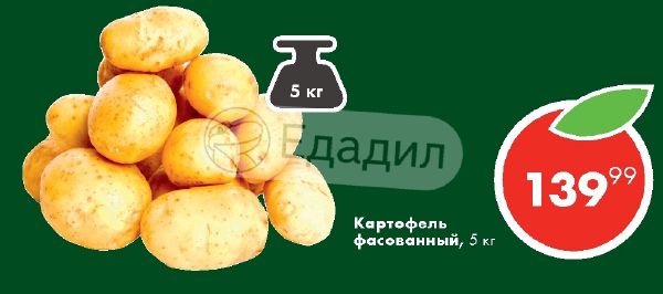 В Магазине Картофель Расфасовали В 24