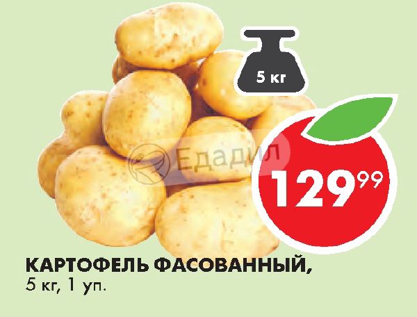 В Магазине Картофель Расфасовали В 24