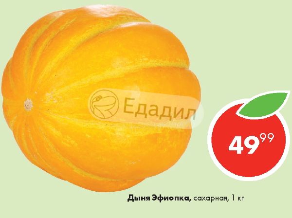 Схема посадки дыни эфиопка