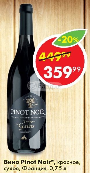 Pinot Noir Вино Купить