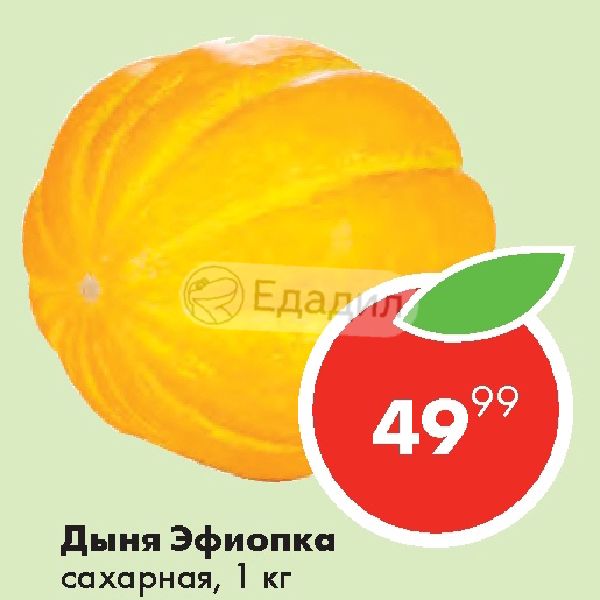 Схема посадки дыни эфиопка