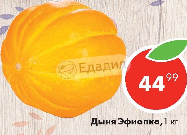 Схема посадки дыни эфиопка