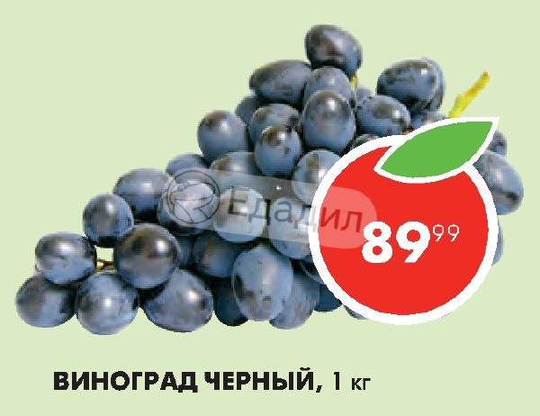Черный виноград в магазине. Виноград черный калорийность. Порошок черного винограда. Черный виноград состав. Калорий в винограде Тайфун.