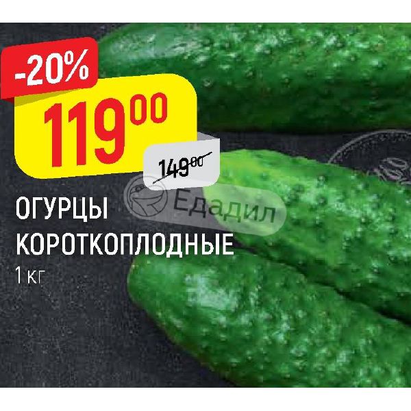Огурцы По Акции В Магазинах Москвы
