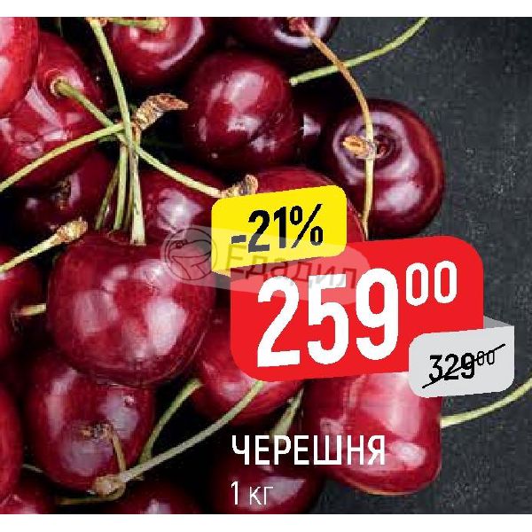 Рублев Магазин Ярославль