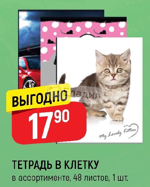Тетради Спб Ру Интернет Магазин