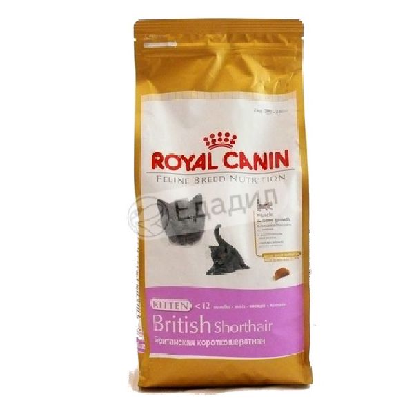 Royal canin british. Роял Канин для британцев 2 кг. Роял Канин для британских кошек. Royal Canin Kitten 2 кг, 2 кг. Royal Canin Киттен сфинкс 2 кг.